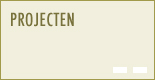 Projecten